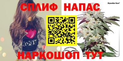 мдма Дубна