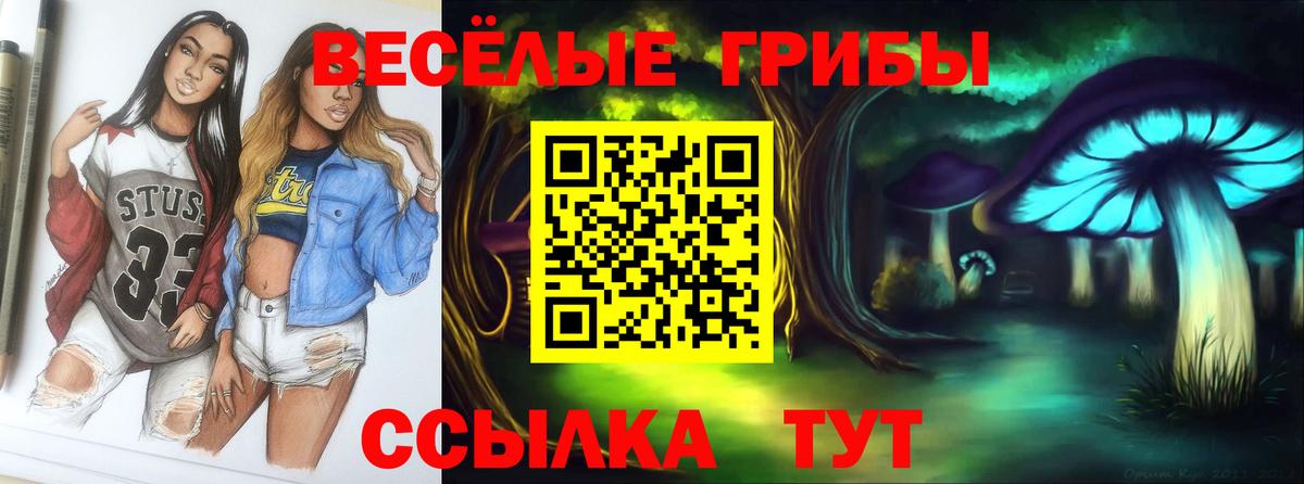 Галлюциногенные грибы прущие грибы  Вход с VPN  Городец 