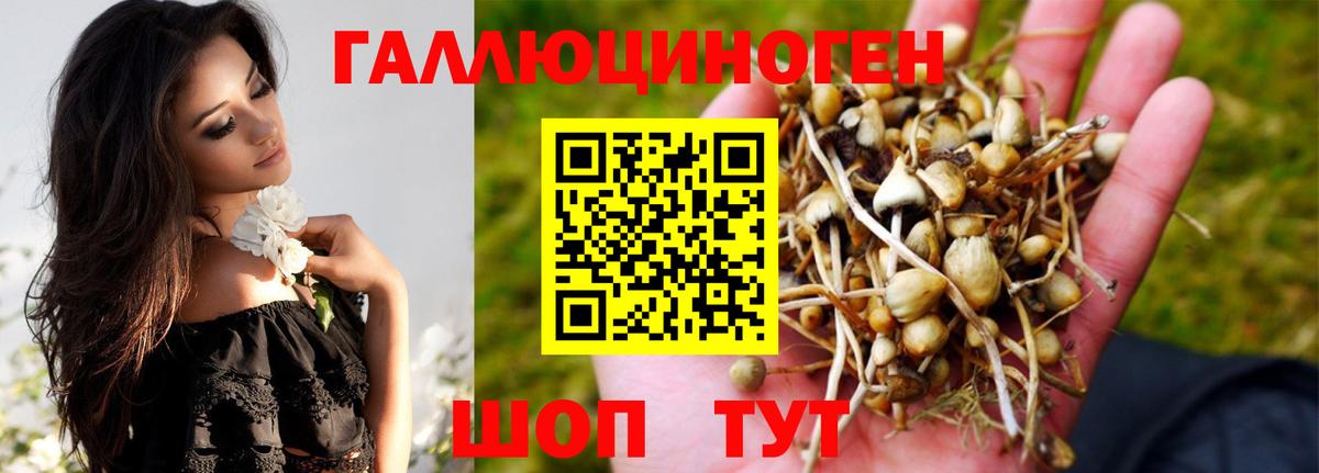 Галлюциногенные грибы MAGIC MUSHROOMS Городец